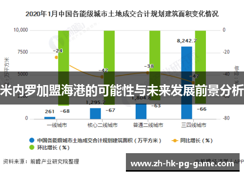 米内罗加盟海港的可能性与未来发展前景分析 米内罗加盟海港的可能性与未来发展前景分析