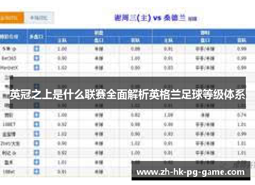 英冠之上是什么联赛全面解析英格兰足球等级体系